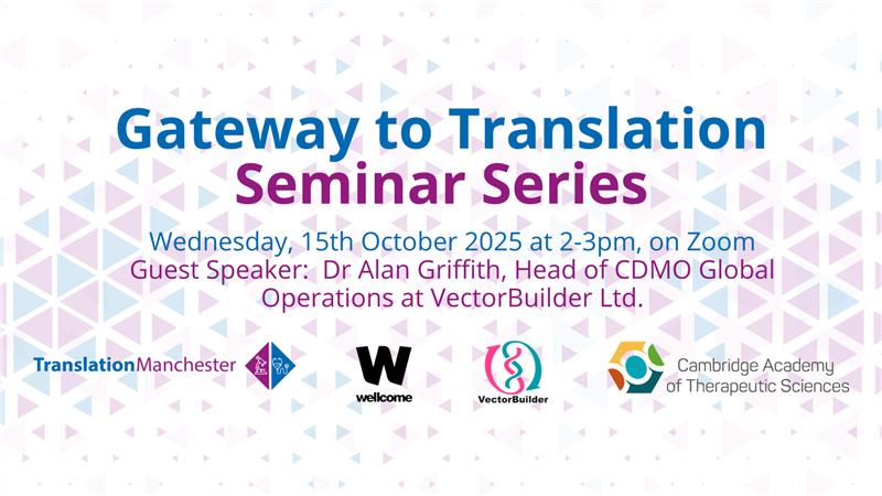 Gateway to Translation: VectorBuilder